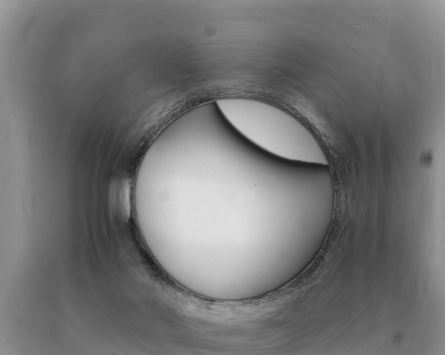 X0000091080022200708061056