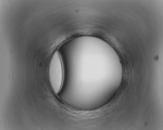 X0000091080023200708061056
