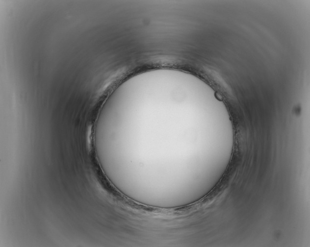 X0000091080024200708061056