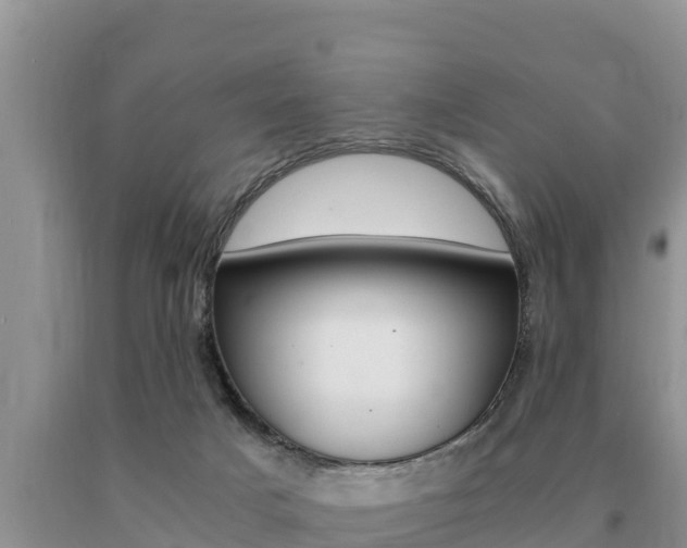 X0000091080025200708061056
