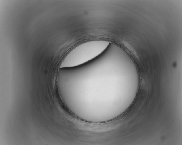 X0000091080026200708061056