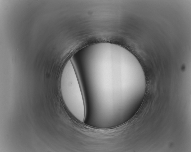 X0000091080027200708061056