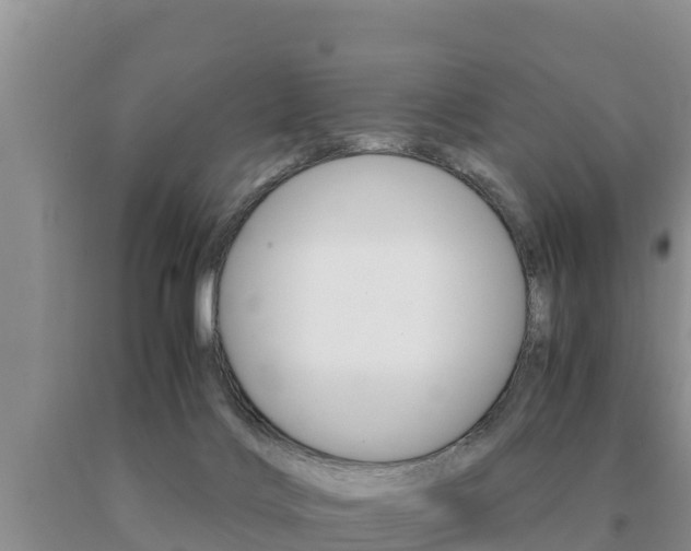 X0000091080028200708061056