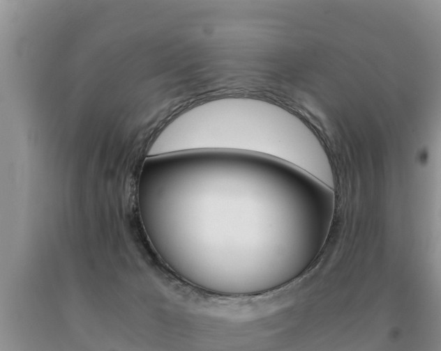 X0000091080029200708061056
