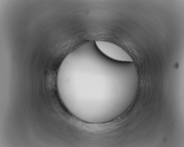 X0000091080030200708061056