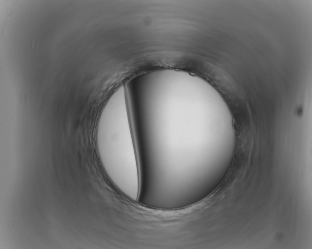 X0000091080031200708061056