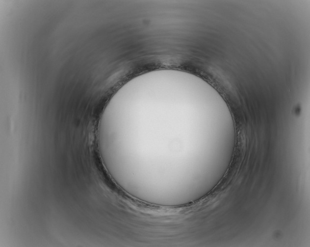 X0000091080032200708061055