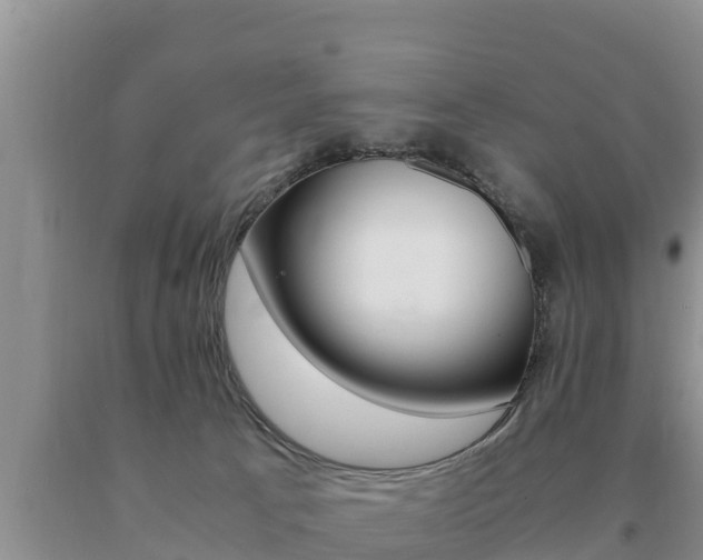 X0000091080033200708061055