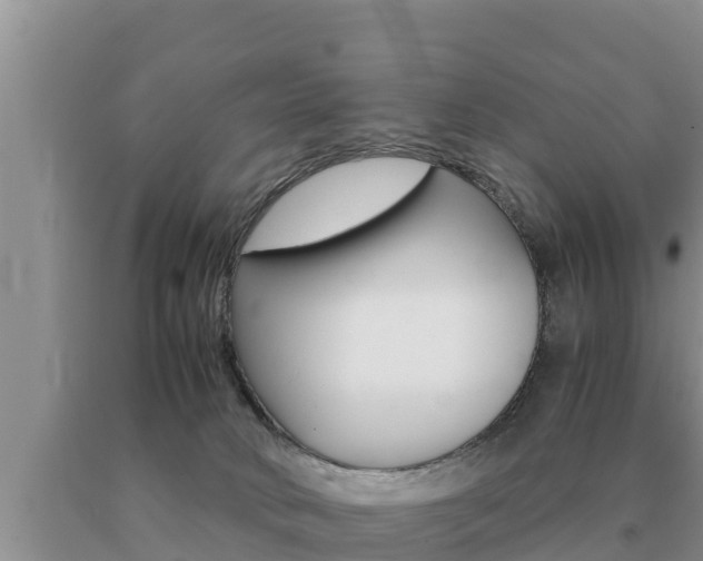 X0000091080034200708061055