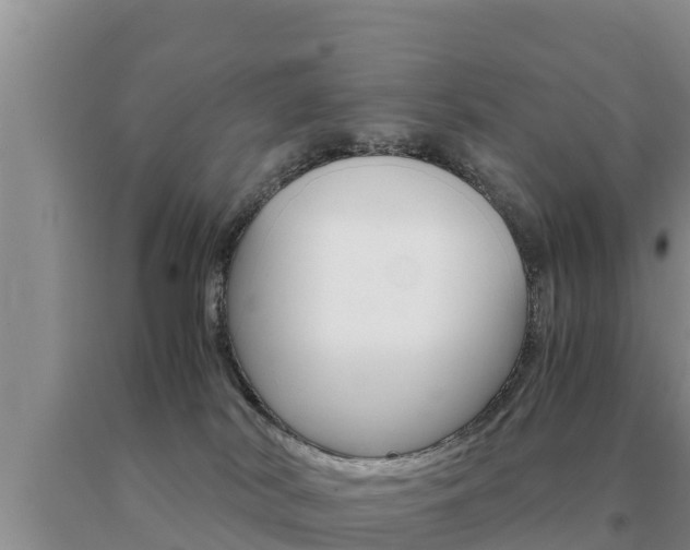 X0000091080038200708061055