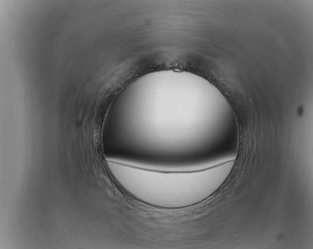 X0000091080039200708061055