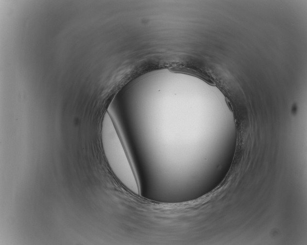 X0000091080041200708061055
