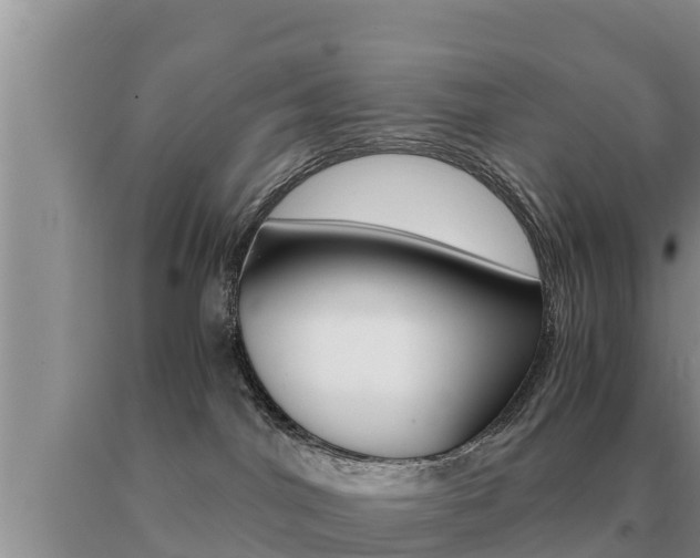 X0000091080044200708061055