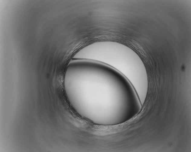 X0000091080045200708061055