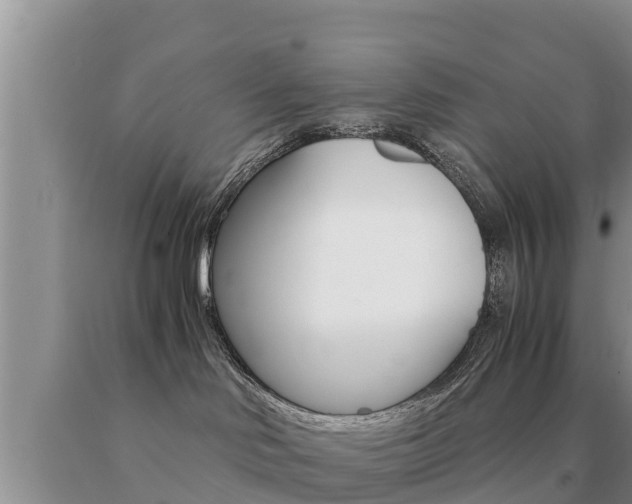 X0000091080046200708061055
