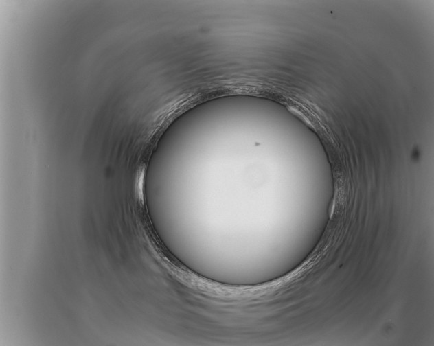 X0000091080047200708061055