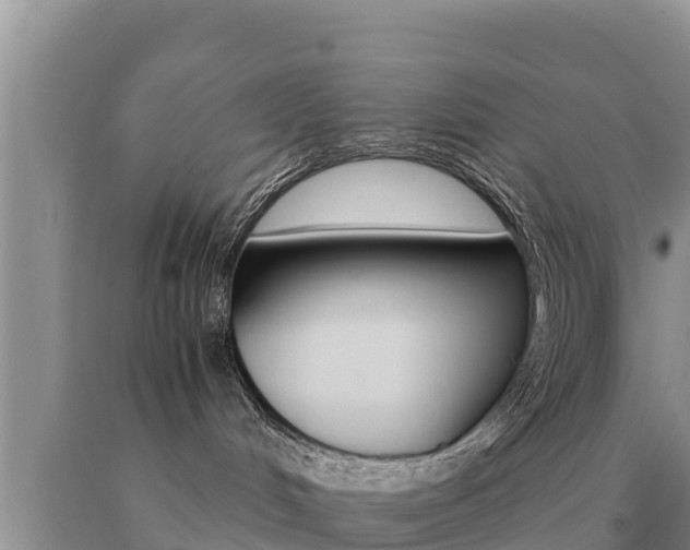 X0000091080048200708061055