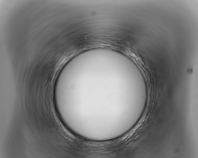 X0000091080049200708061055