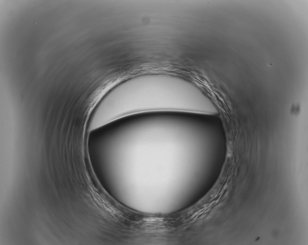 X0000091080052200708061055