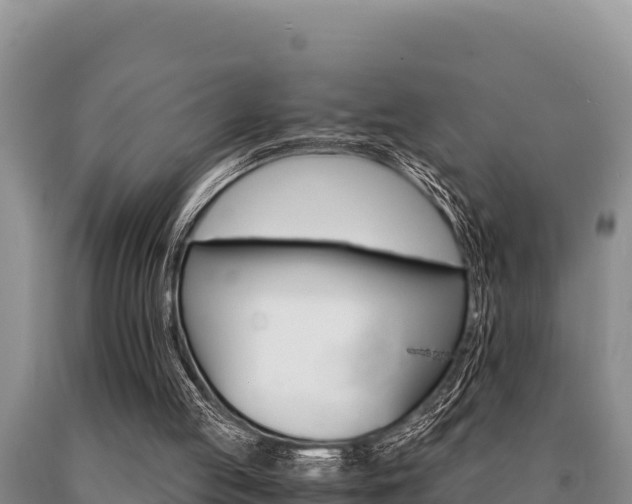 X0000091080053200708061055