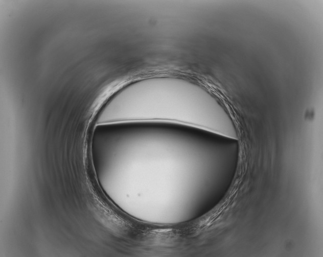 X0000091080054200708061055