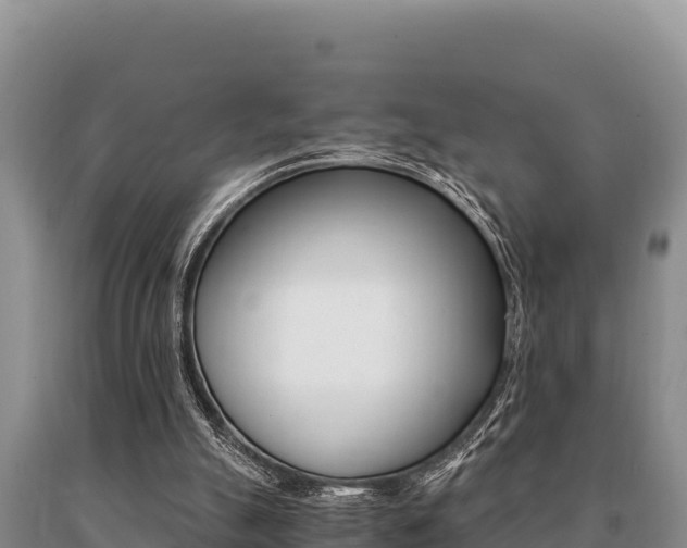 X0000091080055200708061055