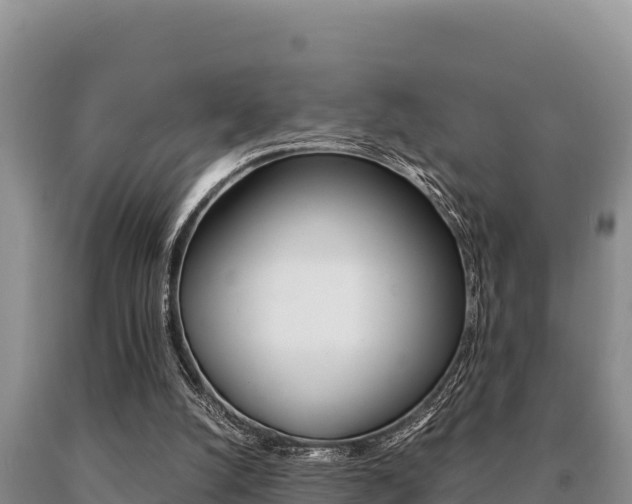 X0000091080056200708061055