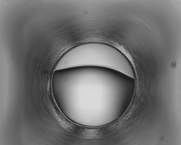 X0000091080057200708061055