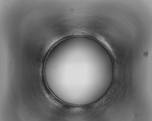 X0000091080058200708061055