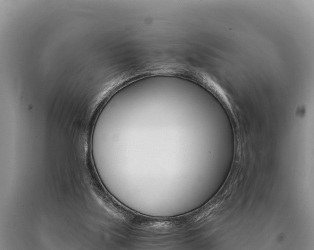 X0000091080059200708061055