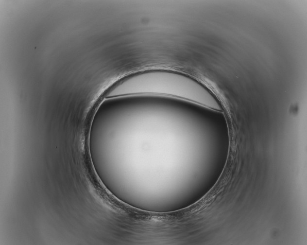 X0000091080060200708061055