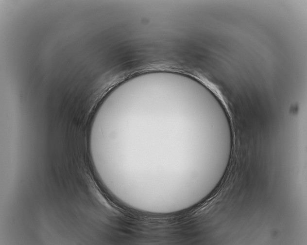 X0000091080061200708061055