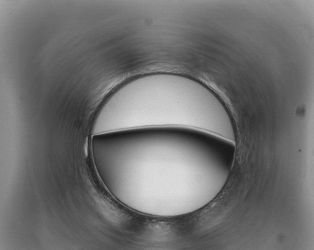 X0000091080062200708061055