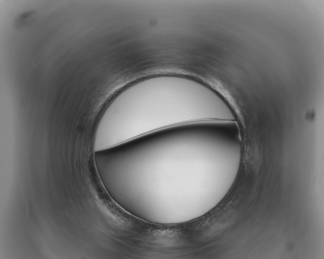 X0000091080063200708061055