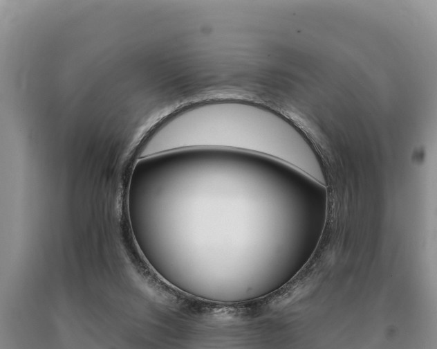 X0000091080064200708061055