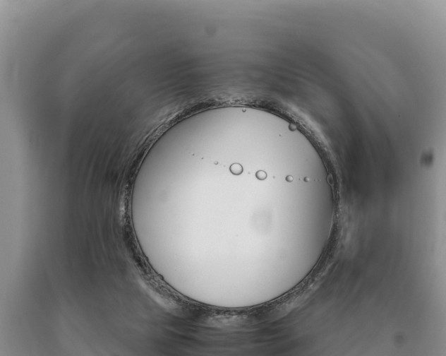 X0000091080065200708061055