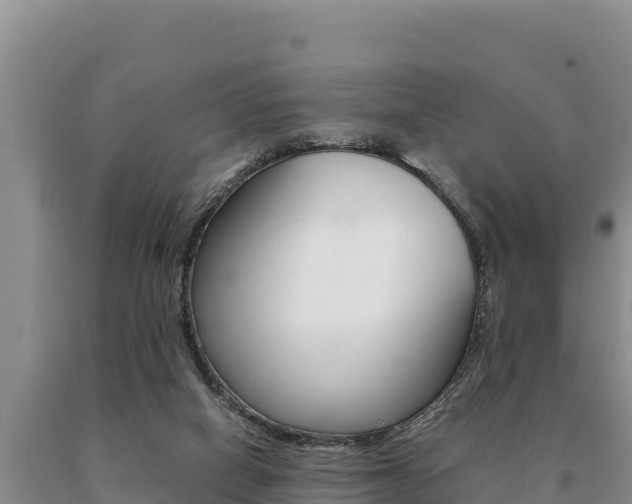 X0000091080066200708061055