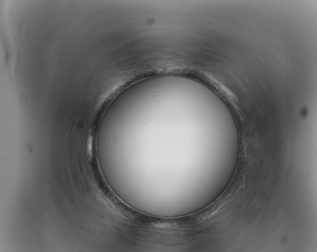 X0000091080067200708061055