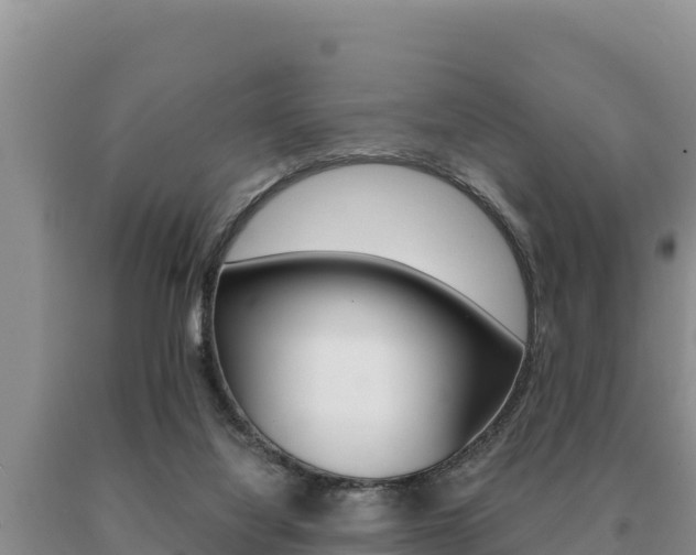 X0000091080068200708061055