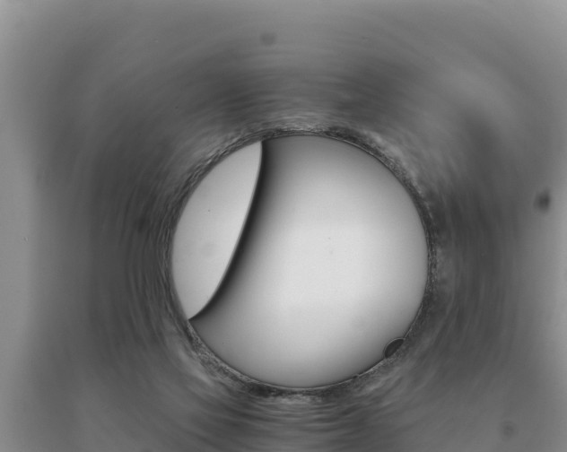 X0000091080069200708061055