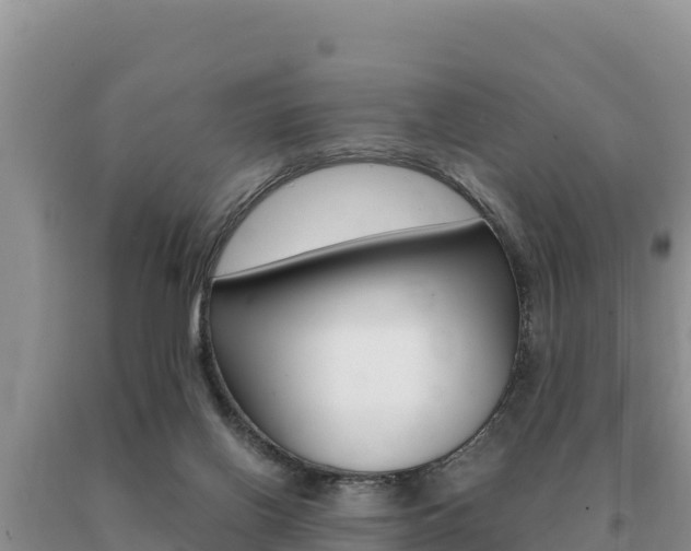 X0000091080070200708061055