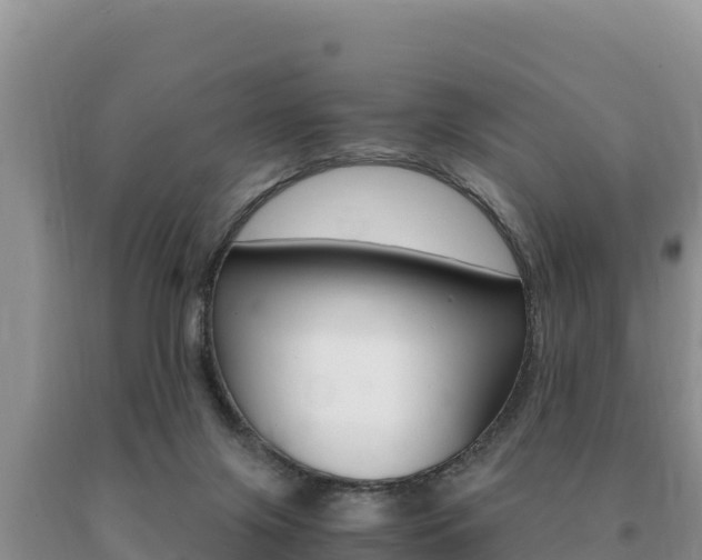 X0000091080071200708061055
