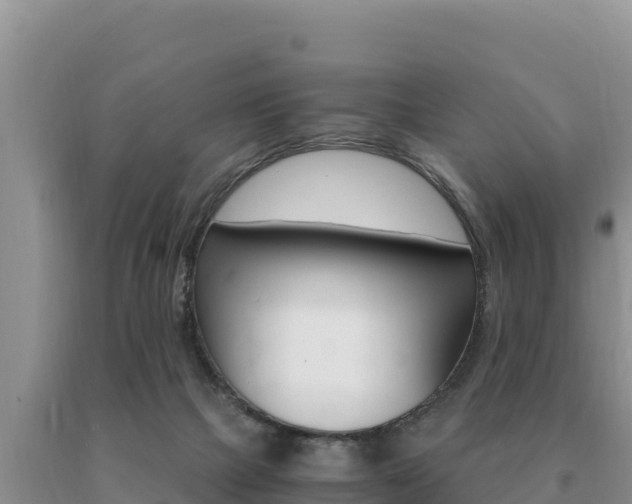 X0000091080073200708061055