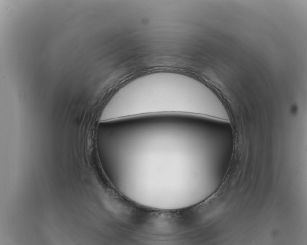 X0000091080074200708061055