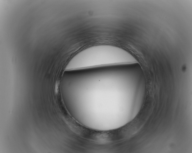 X0000091080075200708061055