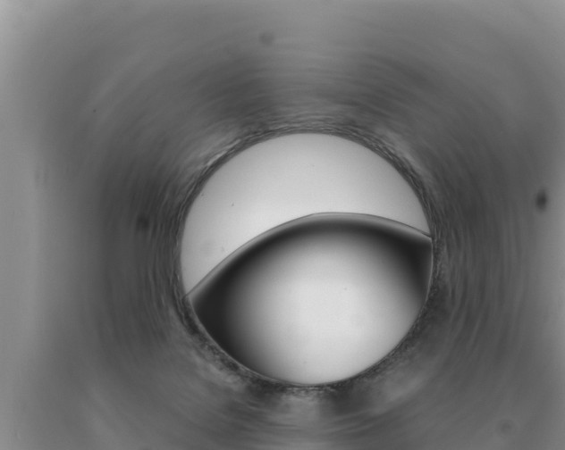 X0000091080076200708061055