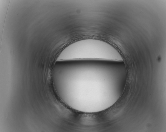 X0000091080077200708061055