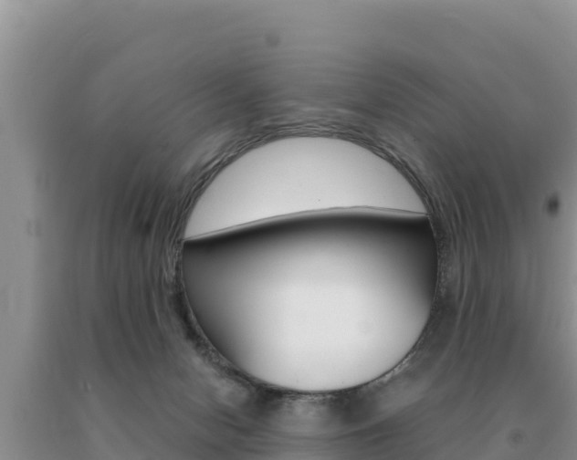 X0000091080078200708061055