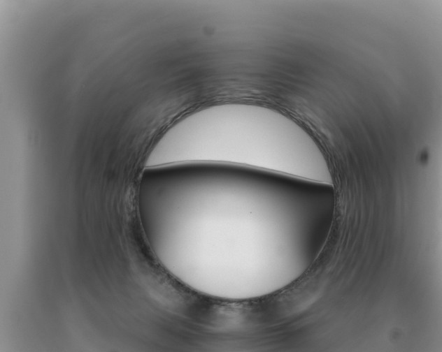 X0000091080079200708061055