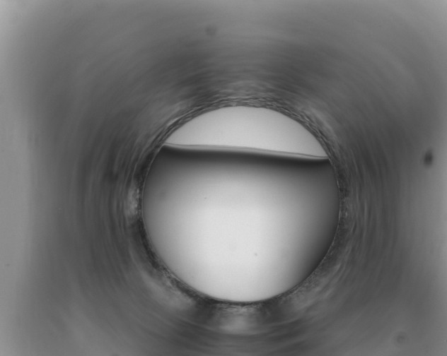 X0000091080081200708061055